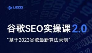 雷子·谷歌SEO 2.0实战课，独立站询盘自由必备，基于2023谷歌最新算法录制-网赚项目众筹网