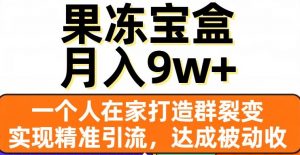 果冻宝盒,一个人在家打造群裂变,实现精准引流,达成被动收入,月入9w+-网赚项目众筹网