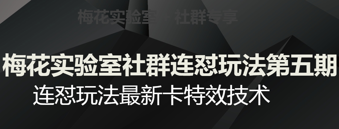 梅花实验室社群连怼玩法第五期，视频号连怼玩法最新卡特效技术-网赚项目众筹网