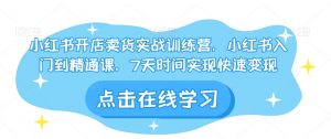 小红书开店卖货实战训练营,小红书入门到精通课,7天时间实现快速变现-网赚项目众筹网