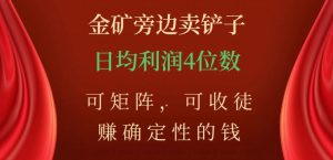 金矿旁边卖铲子,赚确定性的钱,可矩阵,可收徒,日均利润4位数【揭秘】-网赚项目众筹网