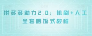 拼多多助力2.0:机刷+人工全套喂饭式教程【揭秘】-网赚项目众筹网