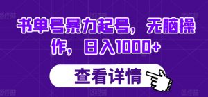 书单号暴力起号,无脑操作,日入1000+【揭秘】-网赚项目众筹网