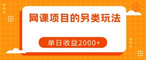 网课项目的另类玩法,单日收益2000+【揭秘】-网赚项目众筹网