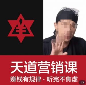 天道老阮-天道营销课,赚钱有规律,听完不焦虑-网赚项目众筹网