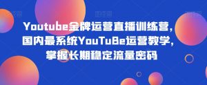 Youtube金牌运营直播训练营,国内最系统YouTuBe运营教学,掌握长期稳定流量密码-网赚项目众筹网