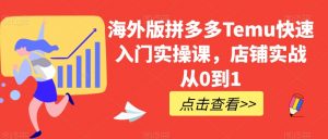 海外版拼多多Temu快速入门实操课,店铺实战从0到1-网赚项目众筹网