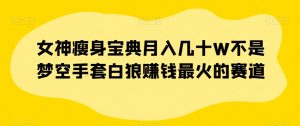 女神瘦身宝典月入几十W不是梦空手套白狼赚钱最火的赛道【揭秘】-网赚项目众筹网