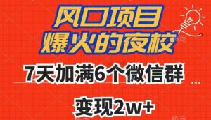 全网首发，爆火的夜校，7天加满6个微信群，变现2w+【揭秘】-网赚项目众筹网