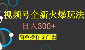 视频号最新爆火玩法,日入300+,简单操作无门槛【揭秘】-网赚项目众筹网
