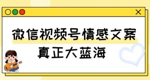 视频号情感文案,真正大蓝海,简单操作,新手小白轻松上手(教程+素材)【揭秘】-网赚项目众筹网