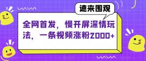 全网首发,慢开屏深情玩法,一条视频涨粉2000+【揭秘】-网赚项目众筹网