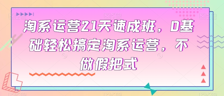 淘系运营21天速成班，0基础轻松搞定淘系运营，不做假把式-网赚项目众筹网
