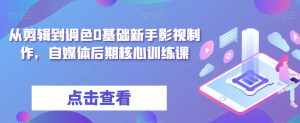 从剪辑到调色0基础新手影视制作,自媒体后期核心训练课-网赚项目众筹网