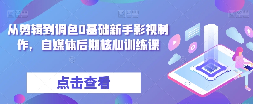 从剪辑到调色0基础新手影视制作，自媒体后期核心训练课-网赚项目众筹网
