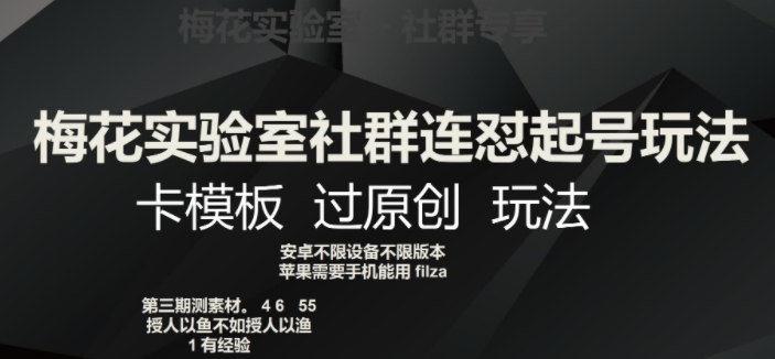 梅花实验室社群连怼起号玩法，卡模板过原创玩法【揭秘】-网赚项目众筹网