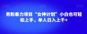男粉暴力项目“女神计划”小白也可轻松上手，单人日入上千+【揭秘】-网赚项目众筹网