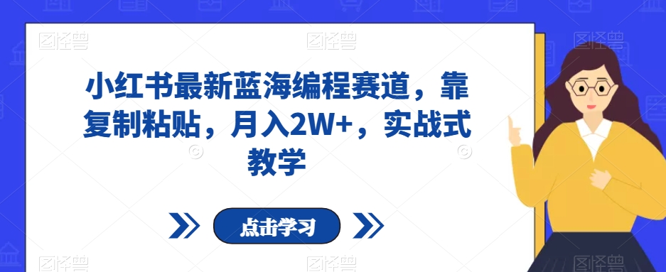 小红书最新蓝海编程赛道，靠复制粘贴，月入2W+，实战式教学【揭秘】-网赚项目众筹网