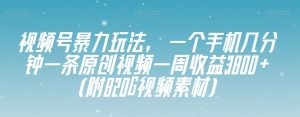 视频号暴力玩法，一个手机几分钟一条原创视频一周收益3800+（附820G视频素材）-网赚项目众筹网