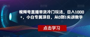 视频号直播带货冷门玩法，日入1000+，小白专属项目，从0到1实战教学【揭秘】-网赚项目众筹网
