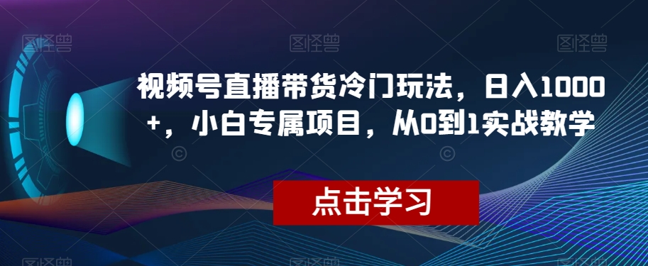 视频号直播带货冷门玩法，日入1000+，小白专属项目，从0到1实战教学【揭秘】-网赚项目众筹网