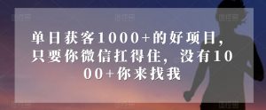 单日获客1000+的好项目，只要你微信扛得住，没有1000+你来找我【揭秘】-网赚项目众筹网