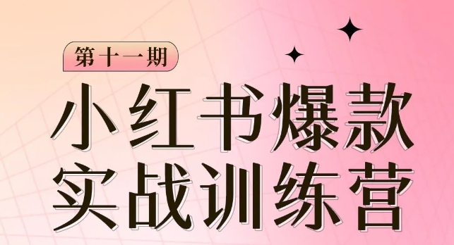 小红书博主爆款训练营第11期，手把手教你从0-1做小红书，从定位到起号到变现-网赚项目众筹网
