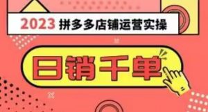 2023拼多多运营实操,每天30分钟日销1000+,爆款选品技巧大全(10节课)-网赚项目众筹网