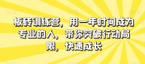 板砖训练营，用一年时间成为专业的人，带你突破行动局限，快速成长-网赚项目众筹网