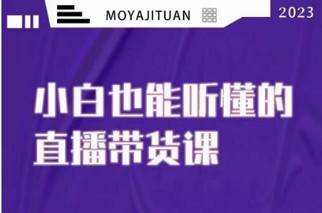 大威本威·能听懂的直播带货课，小白也能听懂，20节完整-网赚项目众筹网