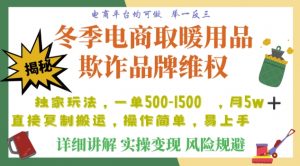 利用电商平台冬季销售取暖用品欺诈行为合理制裁店铺，单日入900+【仅揭秘】-网赚项目众筹网