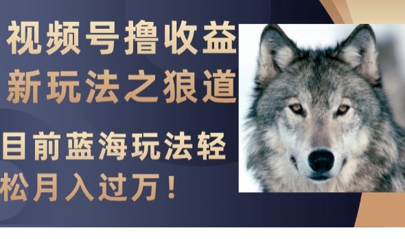 视频号撸收益新玩法之狼道，目前蓝海玩法，轻松月入过万【揭秘】-网赚项目众筹网