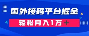 通过国外接码平台掘金：成本1.3，利润10＋，轻松月入1万＋【揭秘】-网赚项目众筹网