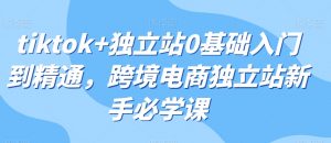 tiktok+独立站0基础入门到精通,跨境电商独立站新手必学课-网赚项目众筹网