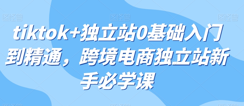 tiktok+独立站0基础入门到精通，跨境电商独立站新手必学课-网赚项目众筹网