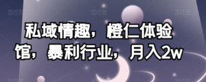 私域情趣,橙仁体验馆,暴利行业,月入2w【揭秘】-网赚项目众筹网