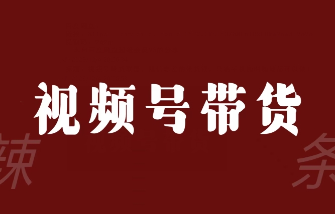 视频号带货联盟，赚信息差的带货钱，只需手机随时随地都可以做！-网赚项目众筹网