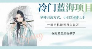 冷门蓝海项目，操作简单，小白3分钟上手，多种引流方式，保姆式全流程教学【揭秘】-网赚项目众筹网