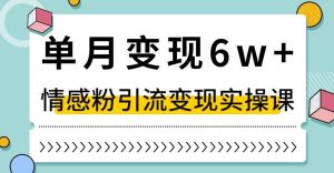 单月变现6W+,抖音情感粉引流变现实操课,小白可做,轻松上手,独家赛道【揭秘】-网赚项目众筹网