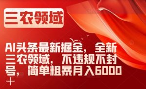 AI头条最新掘金，全新三农领域，不违规不封号，简单粗暴月入6000＋【揭秘】-网赚项目众筹网