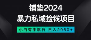 暴力私域捡钱项目,小白无脑操作,日入2980【揭秘】-网赚项目众筹网