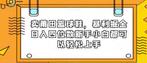 卖莆田篮球鞋，暴利掘金日入四位数新手小白都可以轻松上手【揭秘】-网赚项目众筹网