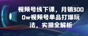 视频号线下课,月销3000w视频号单品打爆玩法,实操全解析-网赚项目众筹网