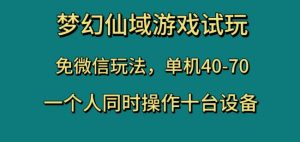 梦幻仙域游戏试玩，免微信玩法，单机40-70，一个人同时操作十台设备【揭秘】-网赚项目众筹网