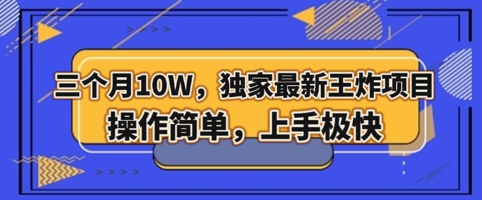 三个月10W，独家最新王炸项目！操作简单，上手极快【揭秘】-网赚项目众筹网
