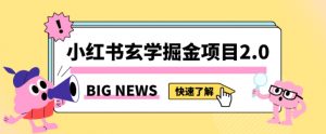 小红书玄学掘金项目,值得常驻的蓝海项目,日入3000+附带引流方法以及渠道【揭秘】-网赚项目众筹网