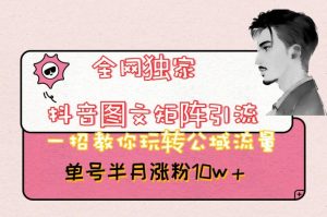 全网独家抖音图文矩阵引流,一招教你玩转公域流量,单号半月涨粉10w+【揭秘】-网赚项目众筹网