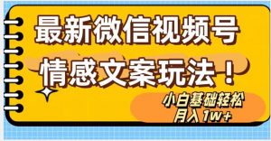 微信视频号情感文案最新玩法,小白轻松月入1万+无脑搬运【揭秘】-网赚项目众筹网