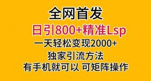 全网首发！日引800+精准老色批，一天变现2000+，独家引流方法，可矩阵操作【揭秘】-网赚项目众筹网