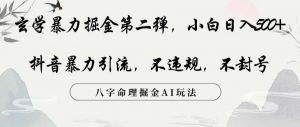 玄学暴力掘金第二弹,小白日入500+,抖音暴力引流,不违规,术封号,八字命理掘金AI玩法【揭秘】-网赚项目众筹网